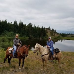 Meet your Posher, Brandie